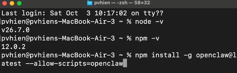 Lệnh cài đặt OpenClaw bằng npm trong Terminal