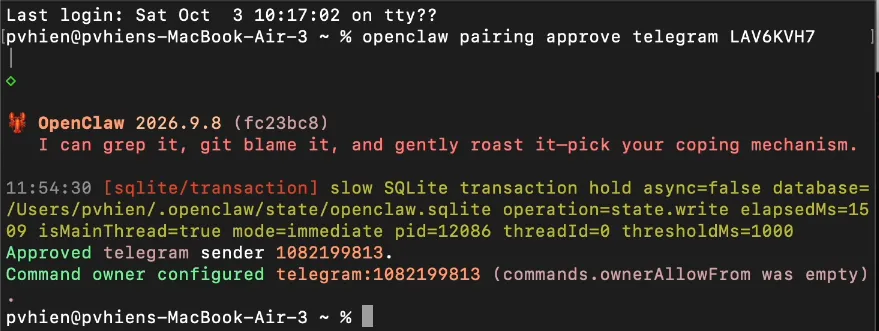 Terminal báo Approved sau khi duyệt pairing code